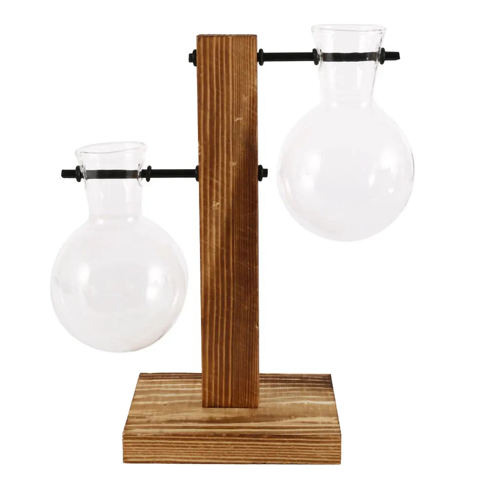 Glass Bulb Vase with Wooden Stand – Desktop Terrarium & Hydroponic Planter